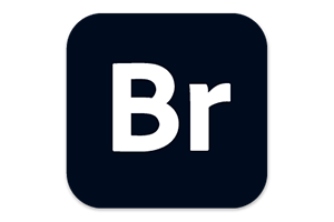 Adobe Bridge 2023 for win(BR 2023)v13.0.4中文直装版